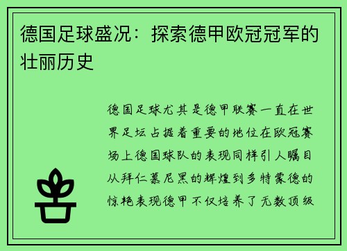 德国足球盛况：探索德甲欧冠冠军的壮丽历史